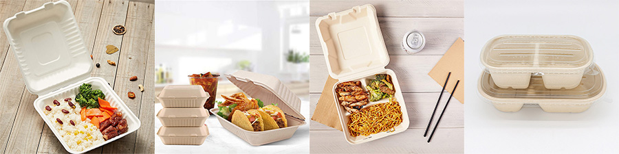 bagasse food container