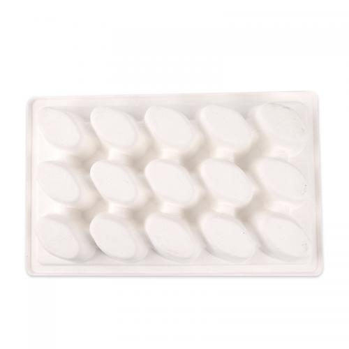 Home Compostable Sugarcane Egg Tray