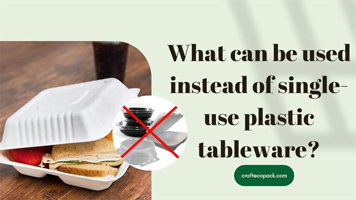 使い捨てのプラスチック製食器の代わりに何を使用できますか？